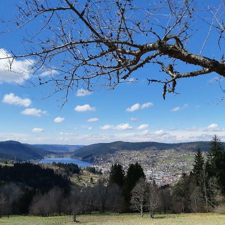 Studio Des Gouttridos Apartment Gerardmer Luaran gambar