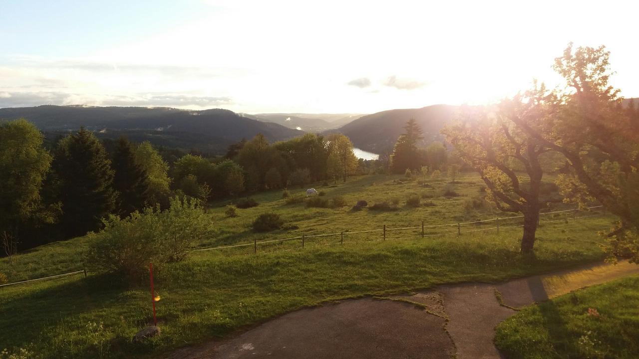 Studio Des Gouttridos Apartment Gerardmer Luaran gambar